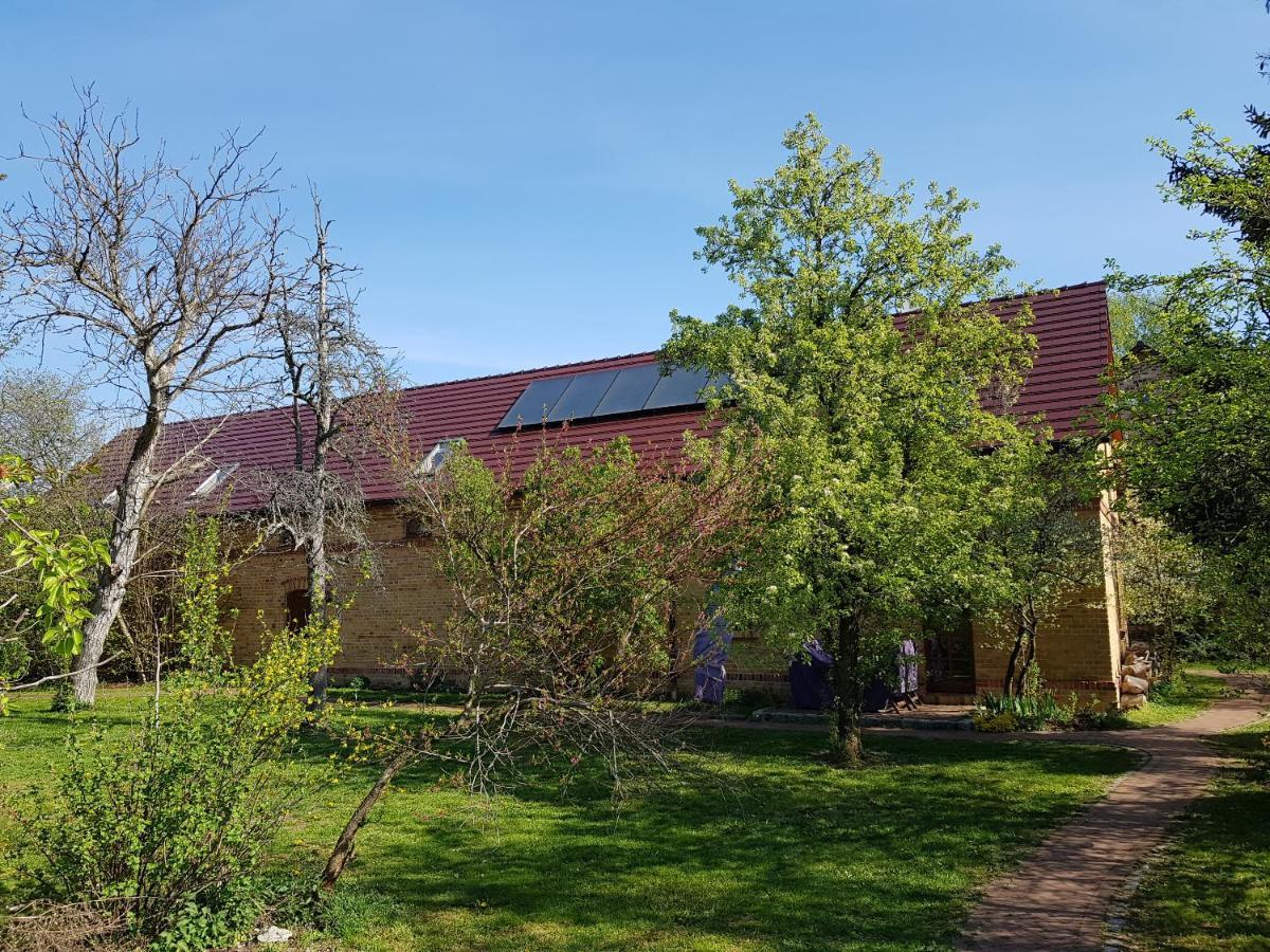 Ferienhaus Auf Dem Hof Lechner Drieschnitz Exterior photo